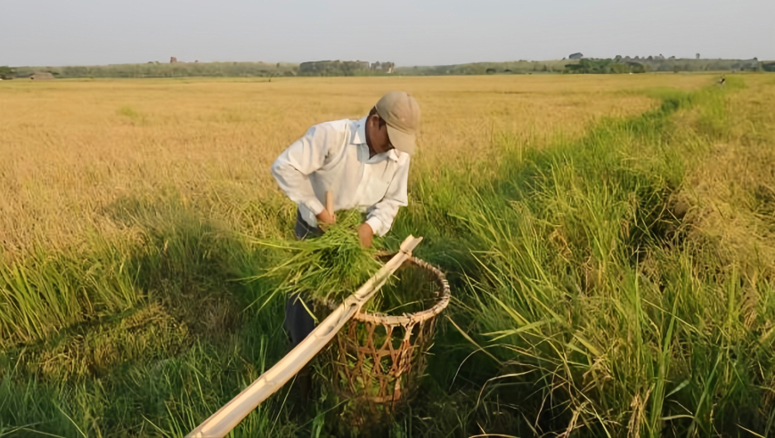 澳门一码一肖百分百2025年,浙江小百花越剧院回应举报,最新热门解答落实_储蓄版V5.34
